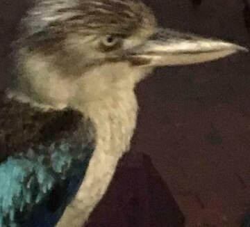 Townsville Apartment | Classic Queenslander Suite