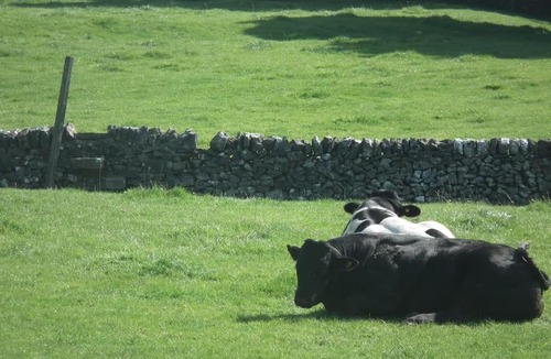 Alstonfield House | Clays View Alstonefield