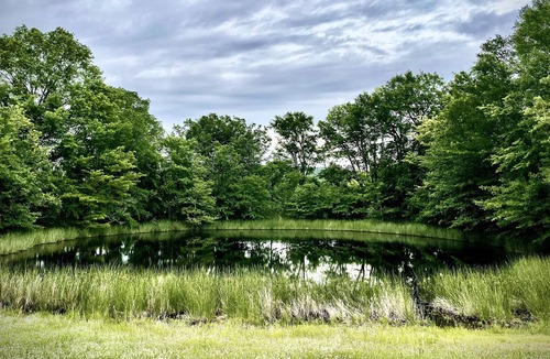 Daisy House | Clean and cozy 3br/2ba country cottage on 8 acres