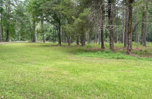 Nacogdoches House | Clean & Comfortable Home in the Pines - 3-bedroom, 2-bath home, family-friendly