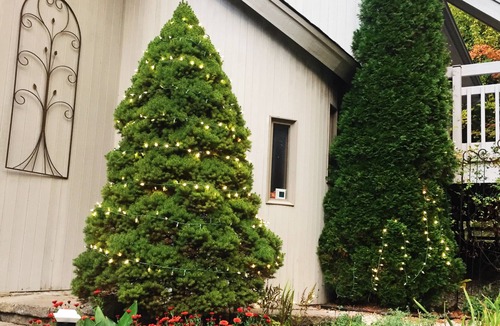Northwest Harwinton House | Clean Cozy Modern Private Bedroom