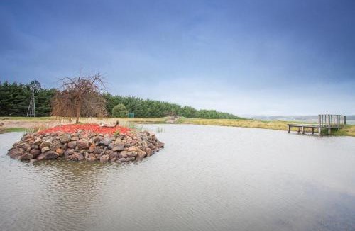 Gisborne Bed & Breakfast | Cleggett Estate