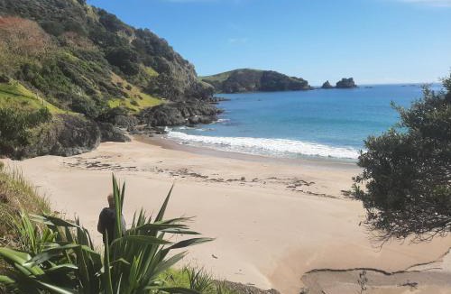 Mahinepua House | Clegsville