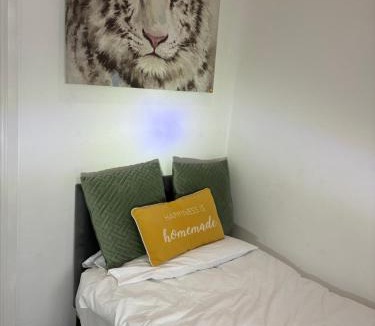 Binley House | Clifford House