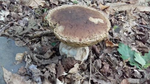 Galan House | Clos A Malypense chez Mr Montamat