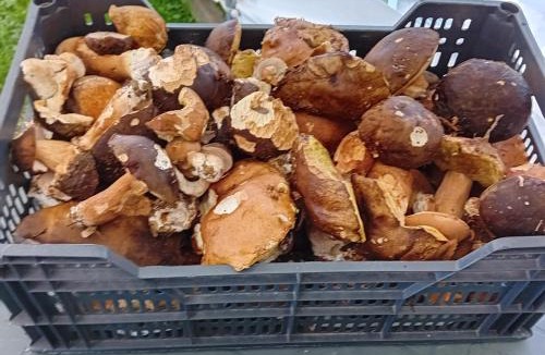 Galan House | Clos A Malypense chez Mr Montamat