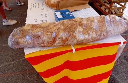 Galan House | Clos A Malypense chez Mr Montamat