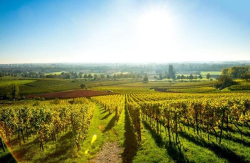 Vire Bed & Breakfast | Clos Ceres