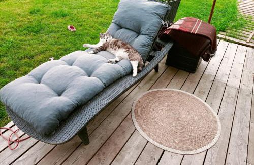 Tabanac House | Clos de Bigorre