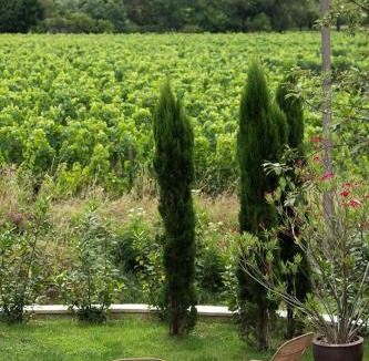 Montagne Bed & Breakfast | Clos de la Barbanne