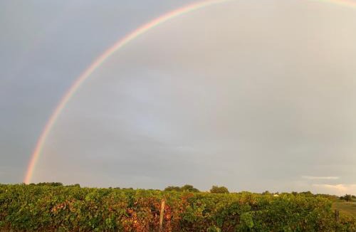 Loix House | Clos des marais