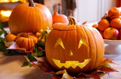 Jargeau Bed & Breakfast | Clos des Ormes