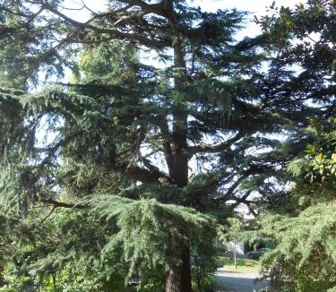 Bagneux Bed & Breakfast | Clos du Bois Brard B&B