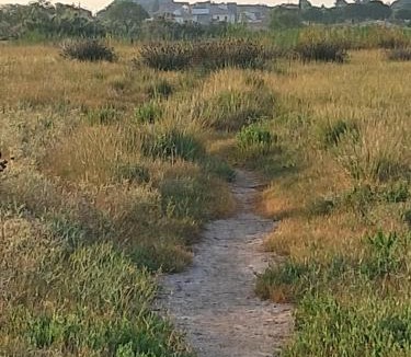 Vic-la-Gardiole House | Clos Gabmy entre plage et garrigue