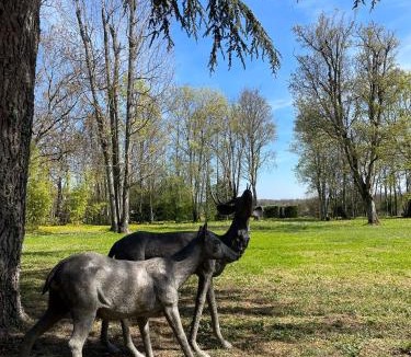 Mercurey Bed & Breakfast | Clos la Rolline