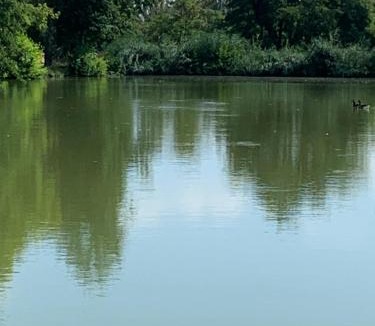 Monbazillac Bed & Breakfast | Clos PIMI