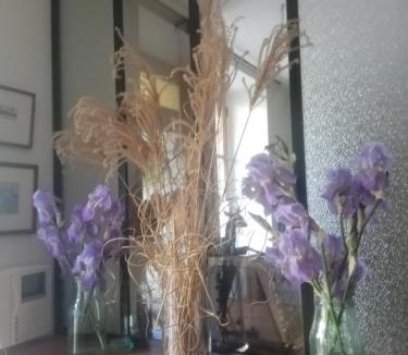 Bussiere - Cadiere House | clos st Joseph