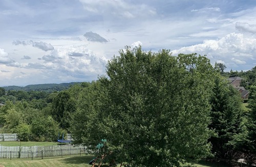 Johnson City Apartment | Close to Brights zoo, close to Jonesborough and Bristol Race, Freedom Hall