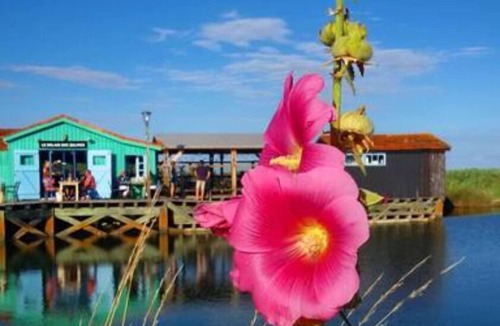 Saint-Pierre-d'Oleron Cottage | CLOSE TO THE BEACH, IN A RURAL SETTING