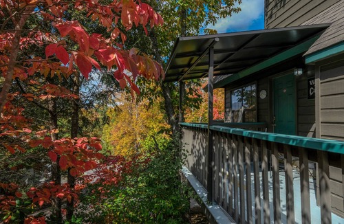 Pigeon Forge Ski Chalet | Close to Pigeon Forge- walking distance to outdoor pool-Outdoor kitchen and tv area and much more