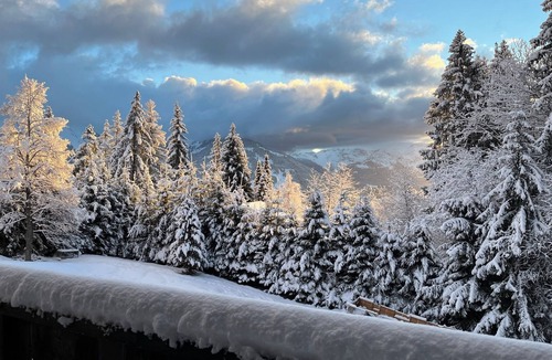 Barboleusaz Ski Chalet | Close to the arrival of the slopes, 750m from the Barboleuse train station.