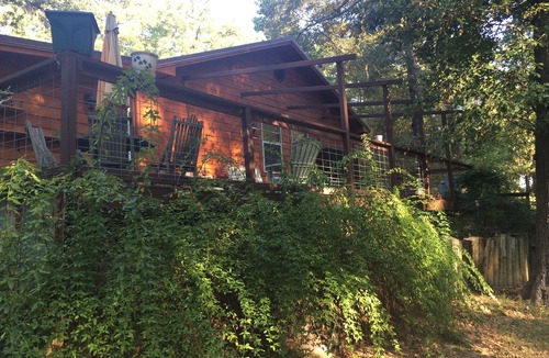 Broaddus House | Close to the Lake and Boat Launches. Pet-Friendly and Family-Friendly. Fish/Hunt