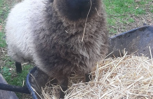 Mielan Cottage | Closed for ever