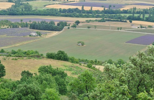 Chateauneuf-Miravail Apartment | Closes the skylight lavender --------------------------------------------- -----