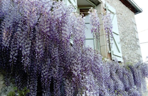Creysse House | Clotilde's Little House