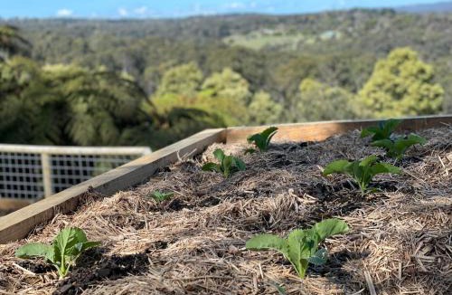 Menzies Creek Bed & Breakfast | Cloud View Garden