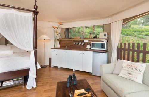 Beechmont Other | Clouds Safari