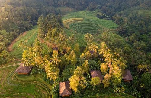 East Selemadeg Resort | Clove Tree Hill