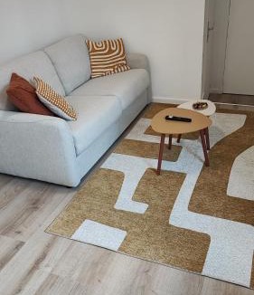 Charleville-Mezieres Apartment | CMG Studio 002 Petit Bois Place Ducale