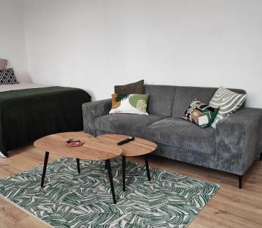 Charleville-Mezieres Apartment | CMG Studio XL 202 Petit Bois Place Ducale