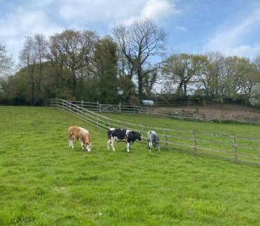 St Wenn House | Coach House St Wenn