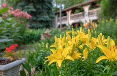 Sister Bay Hotel | Coachlite Inn
