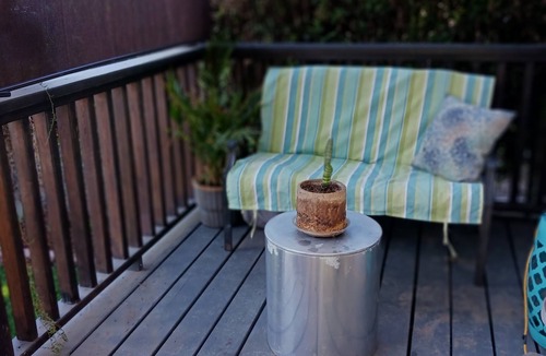 Central San Pedro House | Coastal Cottage Near All
