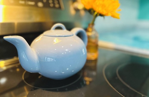 Palm Harbor Cottage | Coastal Escape - Downtown Palm Harbor