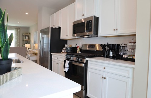 Bayside House | Coastal Resort; Arcade, Pools, Pet-Friendly, Gym