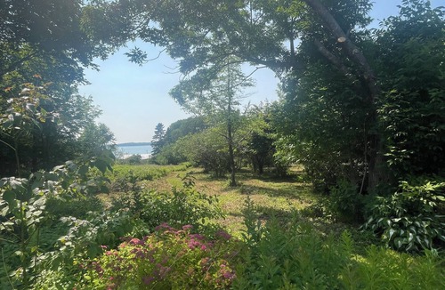Welshpool House | Coastal retreat on 5 acres at Friars Bay with beach, hammocks & fire pit