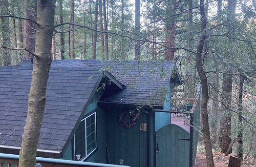 Middletown Cabin | Cobb Tree House; Charming 1-bedroom cabin.