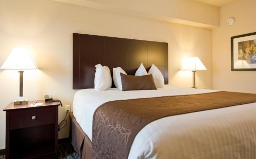 Boone Hotel | Cobblestone Inn & Suites - Boone