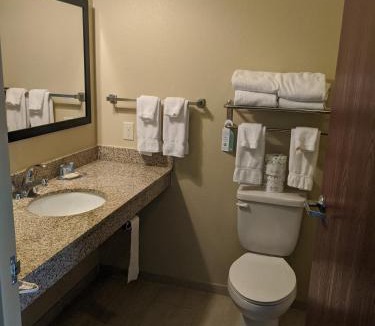 Winterset Hotel | Cobblestone Inn & Suites-Winterset