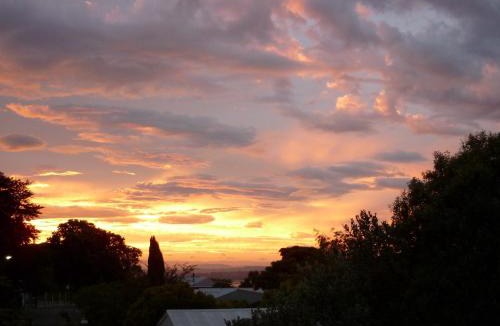 Bluff Hill Bed & Breakfast | Cobden Garden