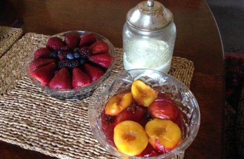 Bluff Hill Bed & Breakfast | Cobden Garden