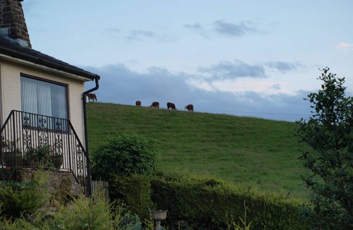 Fence Cottage | Cobden View