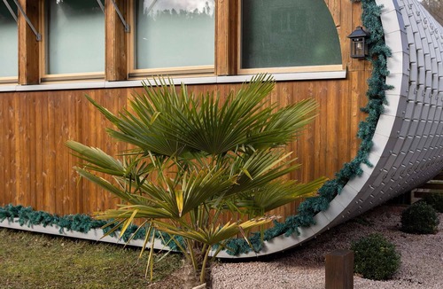 Sainte-Croix-aux-Mines Ski Chalet | Cocci-vert à L'oasis des Coccinelles