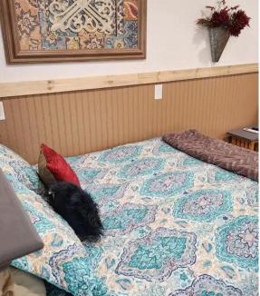 Texico Apartment | Cochin cottage
