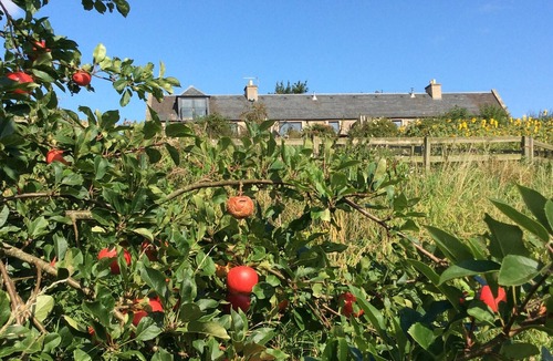 Kelso House | Cockle Kitty Cottage