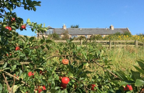 Kelso House | Cocklekitty Cottage